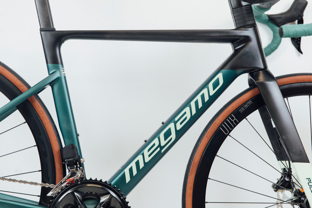 Megamo Pulse
